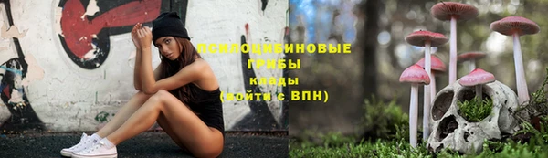 молекула духа Армянск